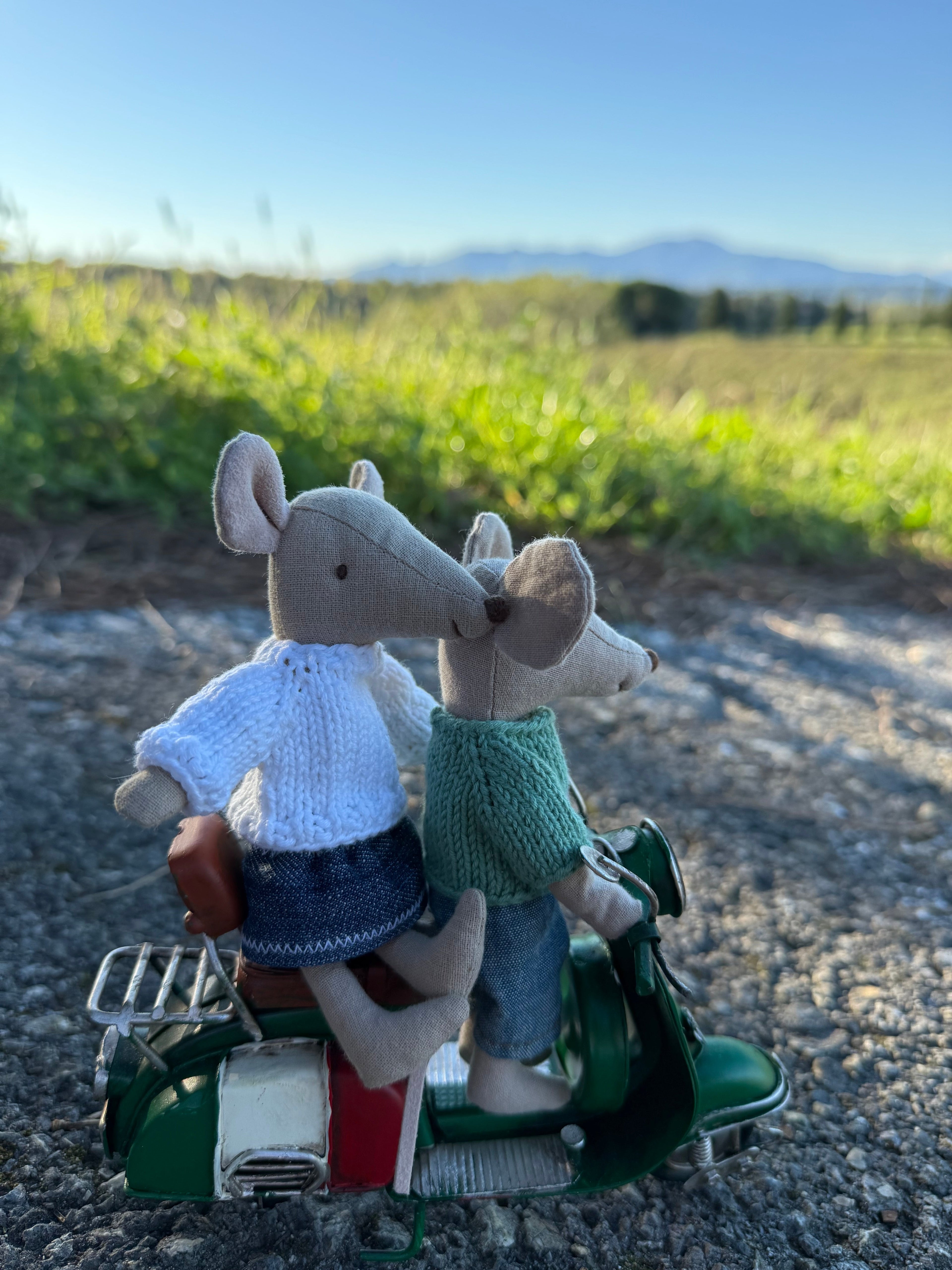 Clothes for Maileg Mouse