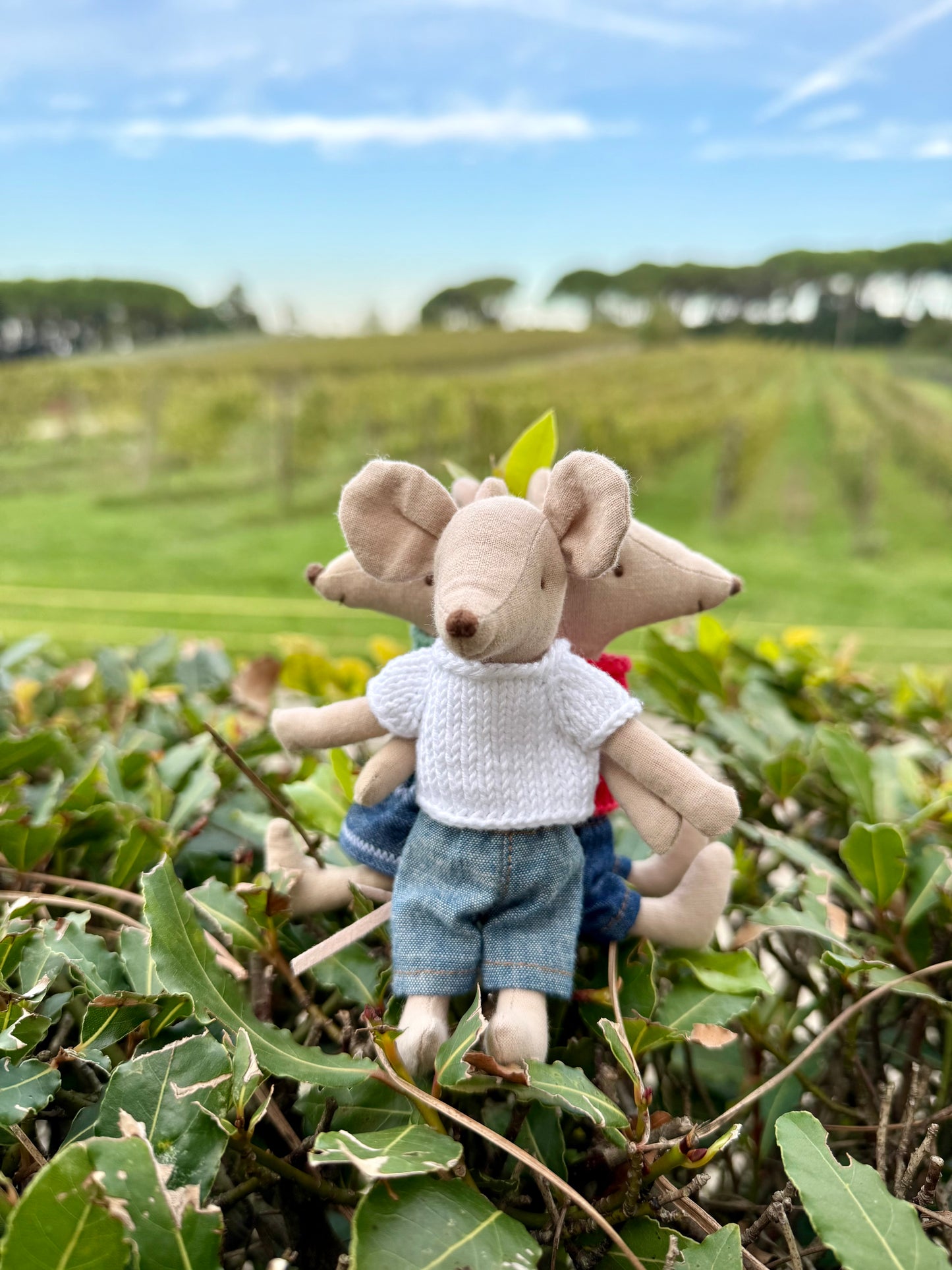 Handmade Cotton Tops for Maileg Mouse | Sun & Meadow