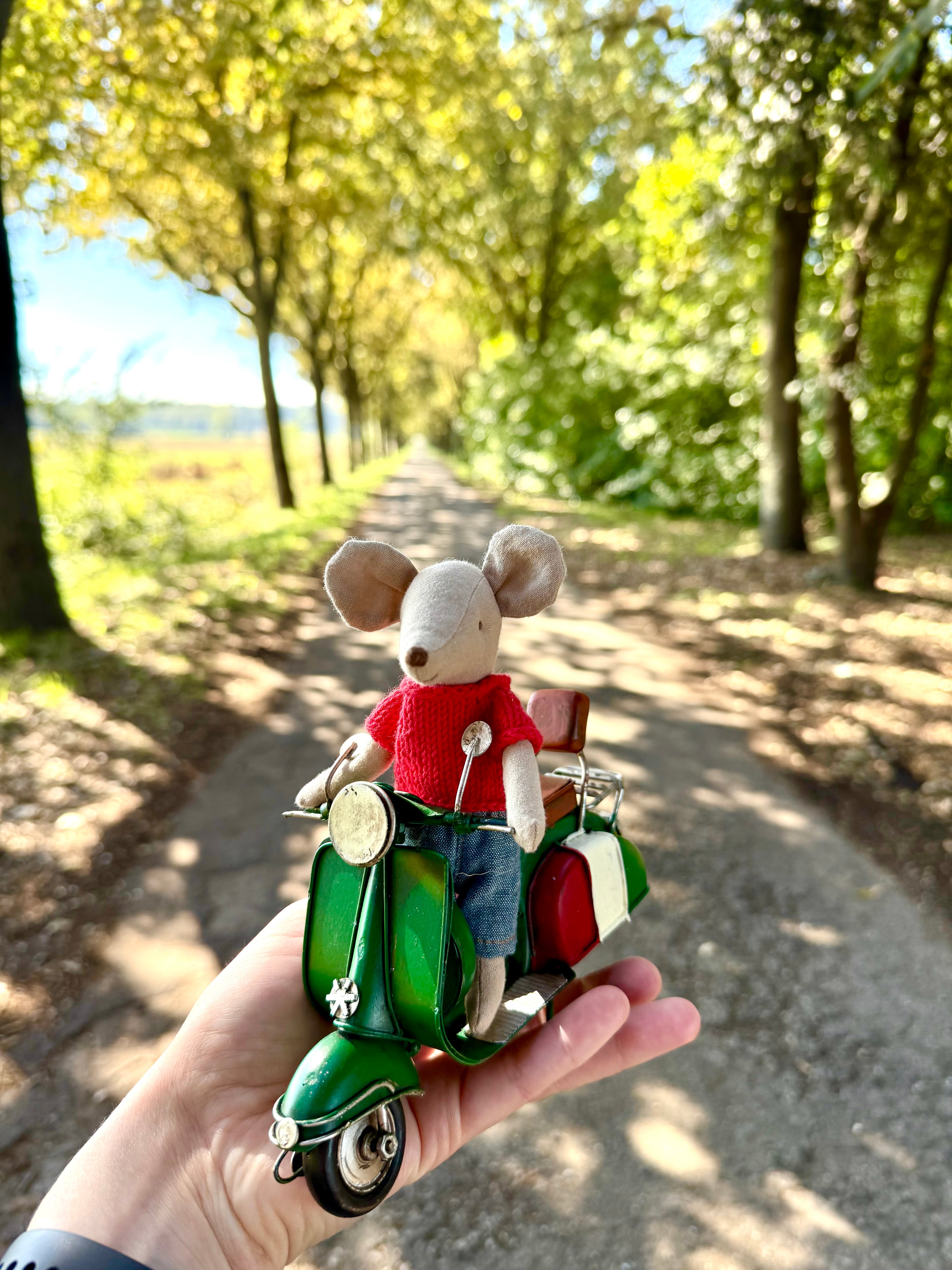 Red Maileg mouse shirt