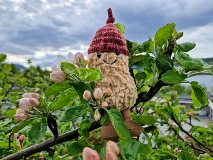 Peanut hat - burgundy with stripes