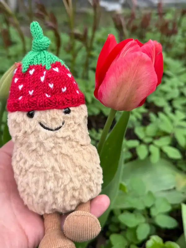 Peanut hat - strawberry